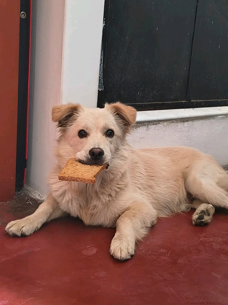 Cinthya上传的GIF