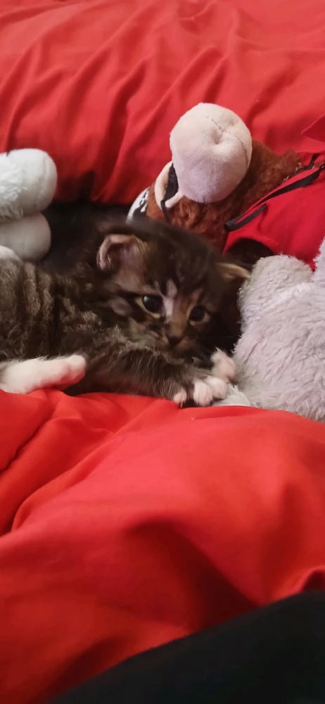 GIF uploaded by Hunter