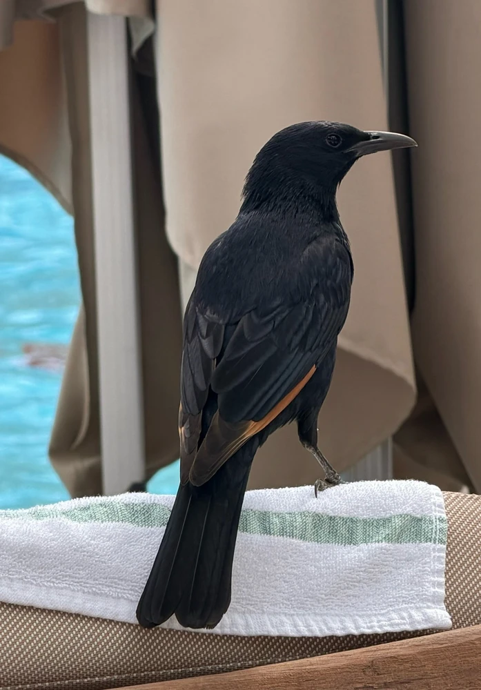 GIF uploaded by Bari