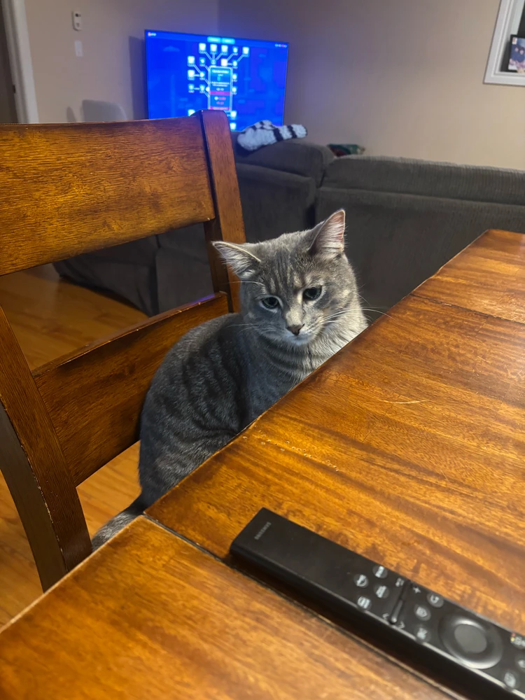 GIF uploaded by Wisam