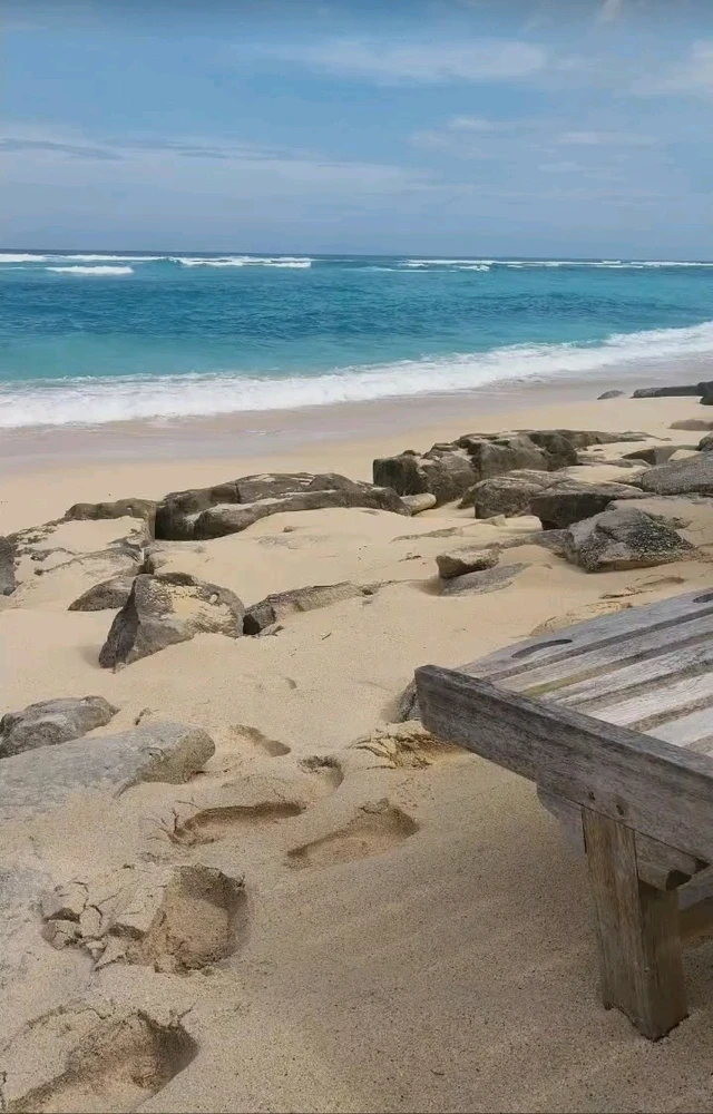 GIF uploaded by Irsy