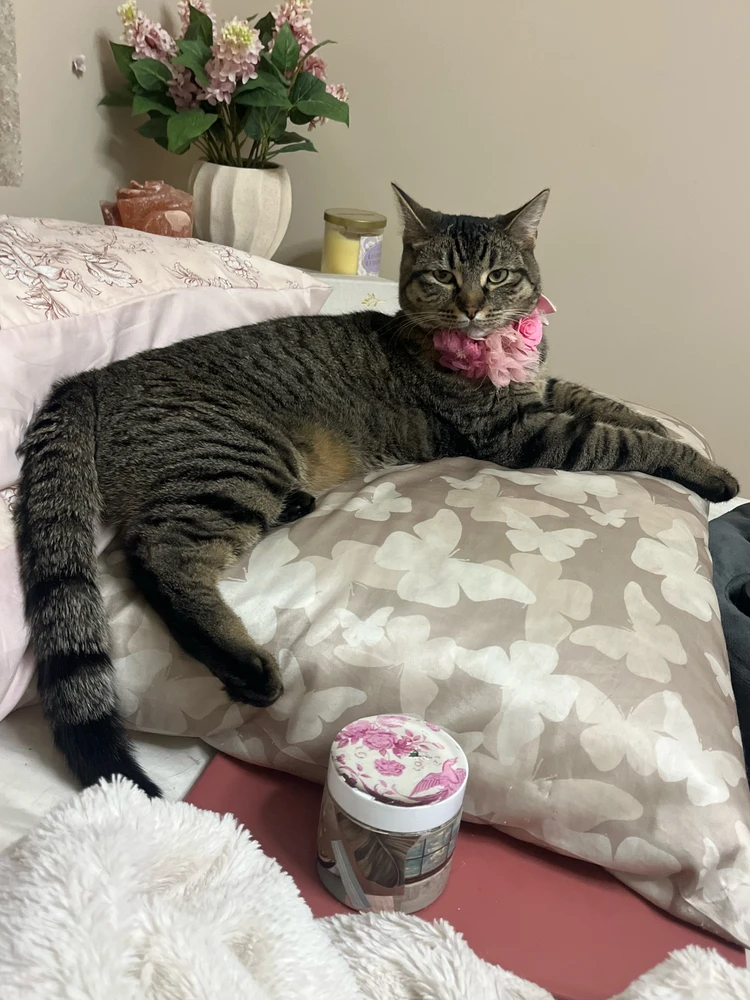 Image uploaded by Leah