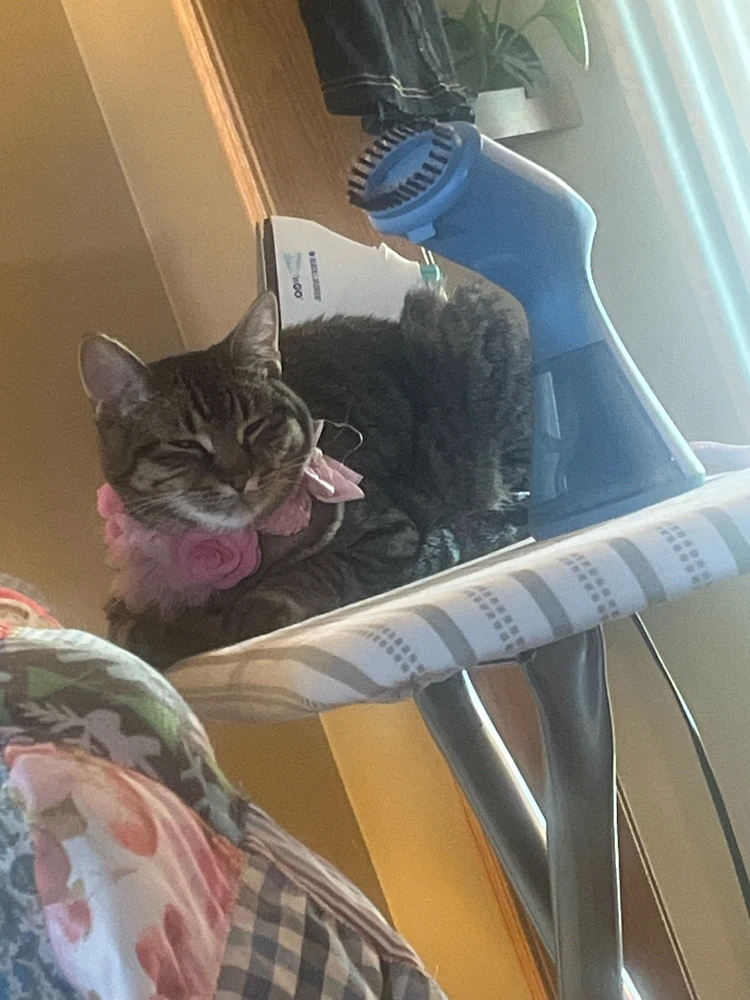 Image uploaded by Leah