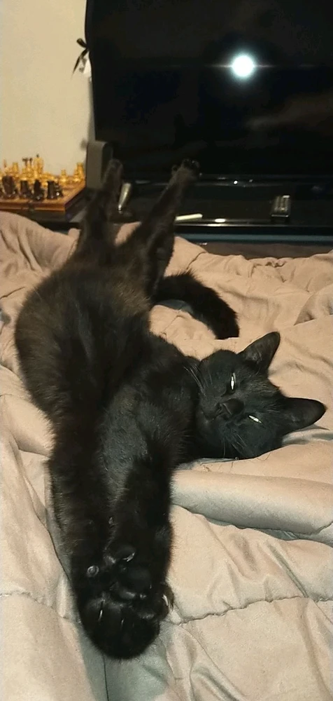 Image uploaded by Lou