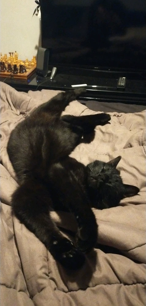 Image uploaded by Lou