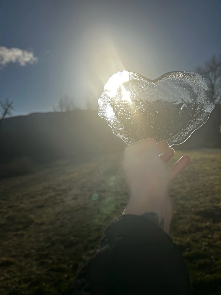 GIF uploaded by Genevieve