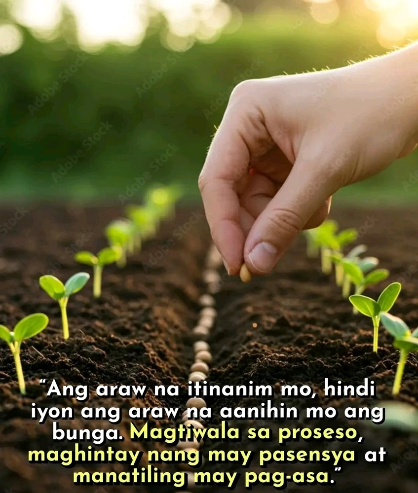 GIF gi-upload ni Normz