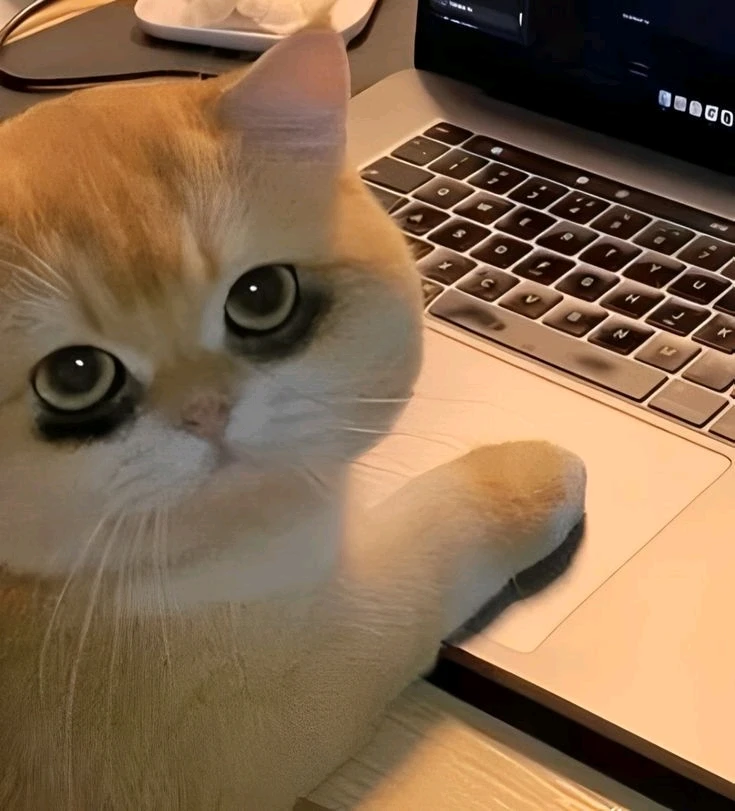 GIF uploaded by Richard Cortez