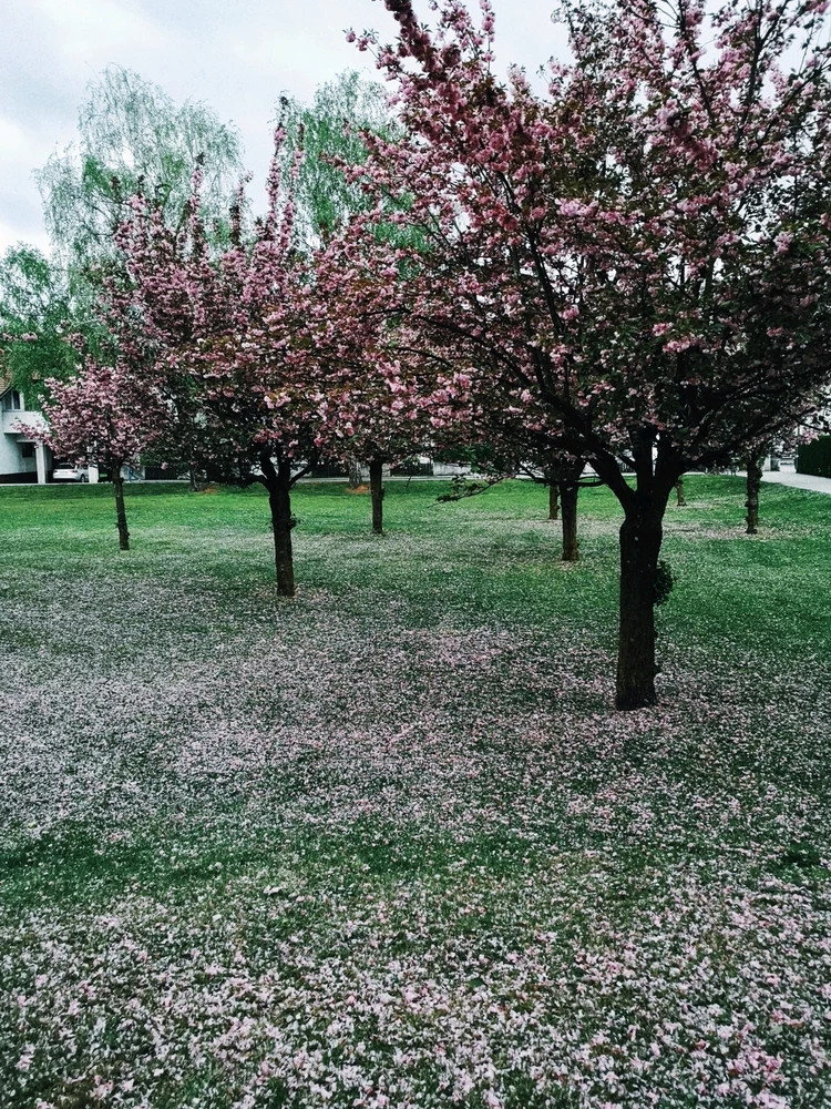 GIF uploaded by Lera