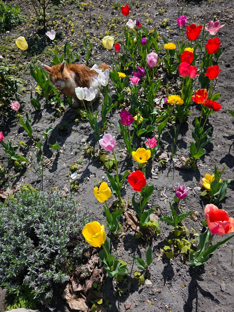 GIF uploaded by Umberto