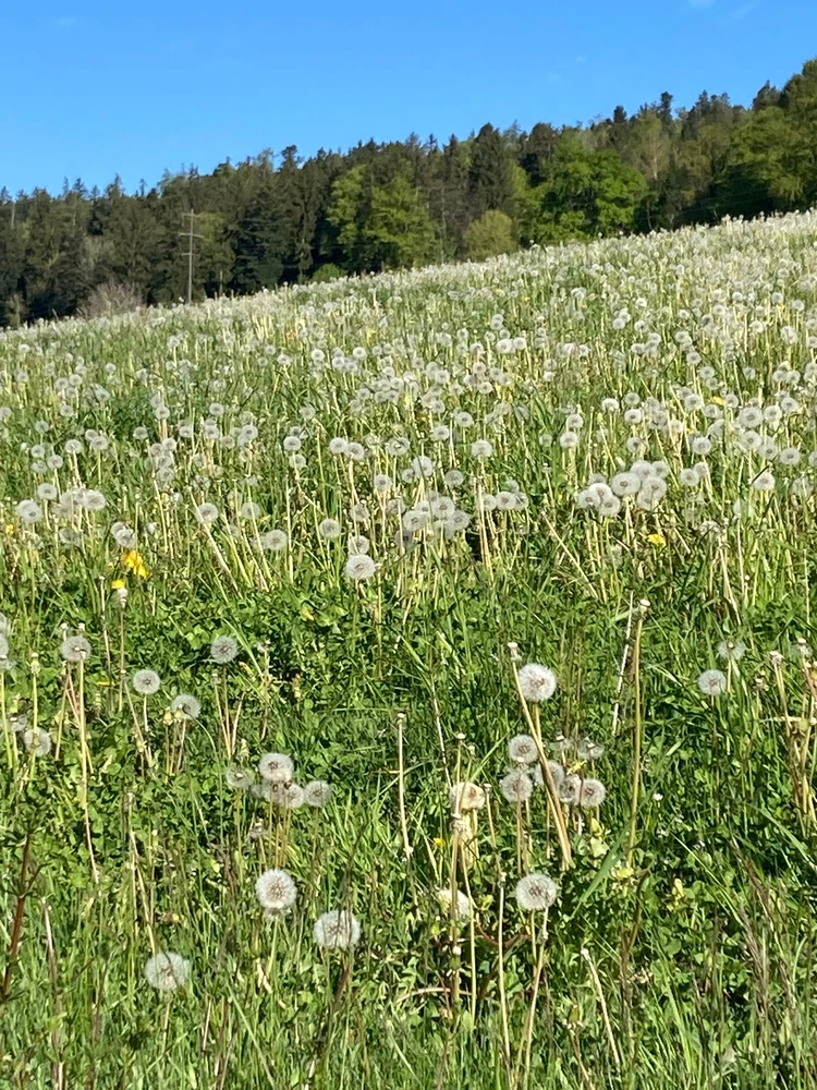 GIF uploaded by ℳ𝒾𝒹𝓃𝒾𝑔𝒽𝓉