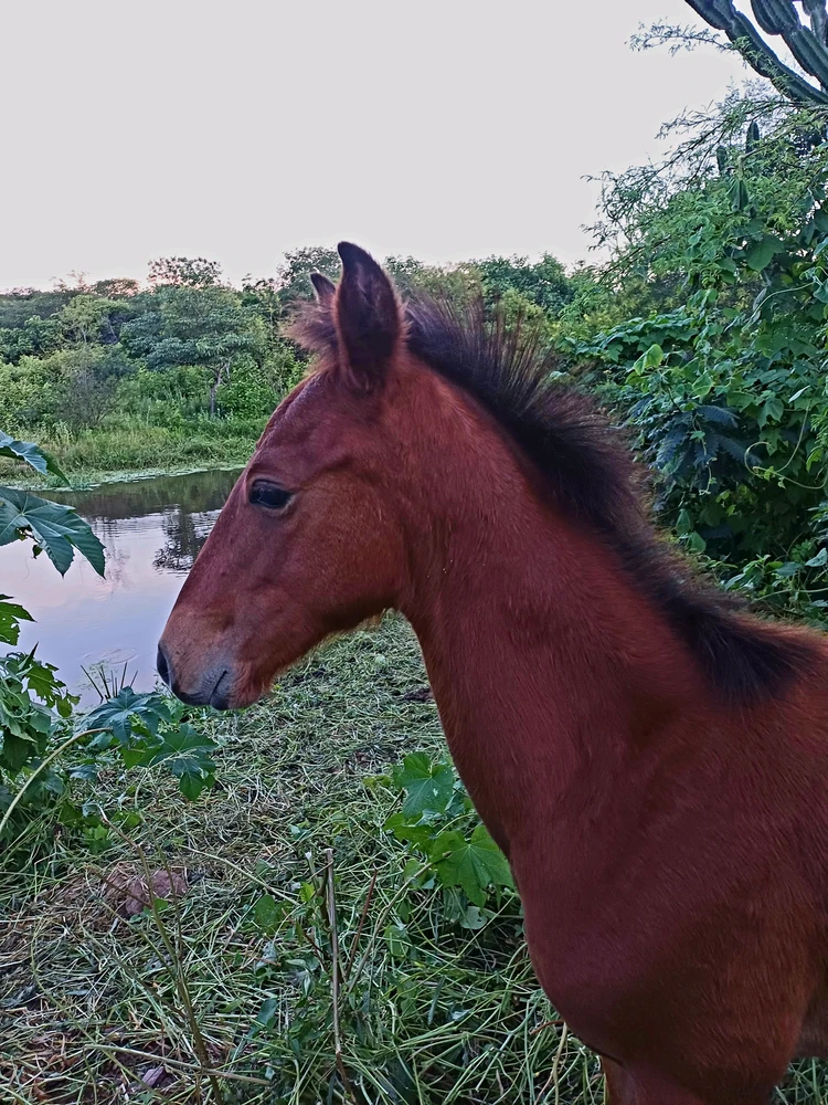 GIF enviado por Maria Raquel
