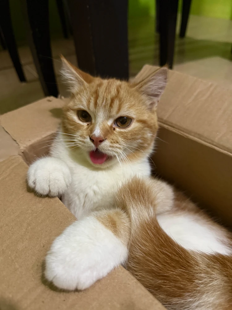 GIF uploaded by Rumi