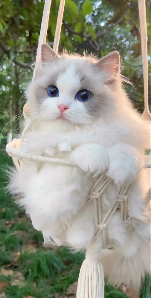 GIF загрузил Doruk