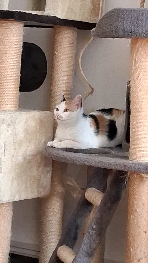 GIF uploaded by Raphael