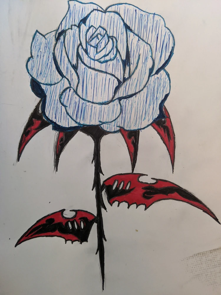 Image uploaded by Eli
