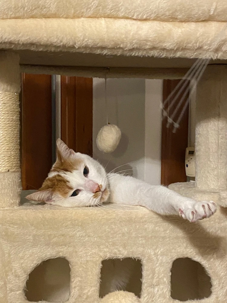 GIF uploaded by Lucrezia