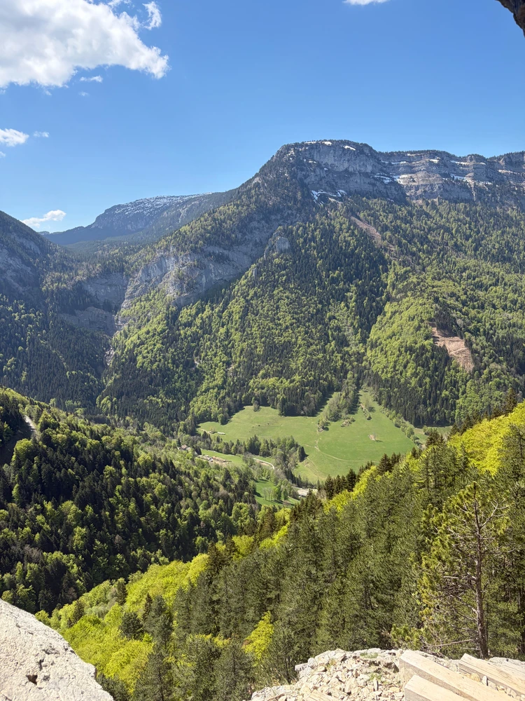 Image uploaded by Guillaume