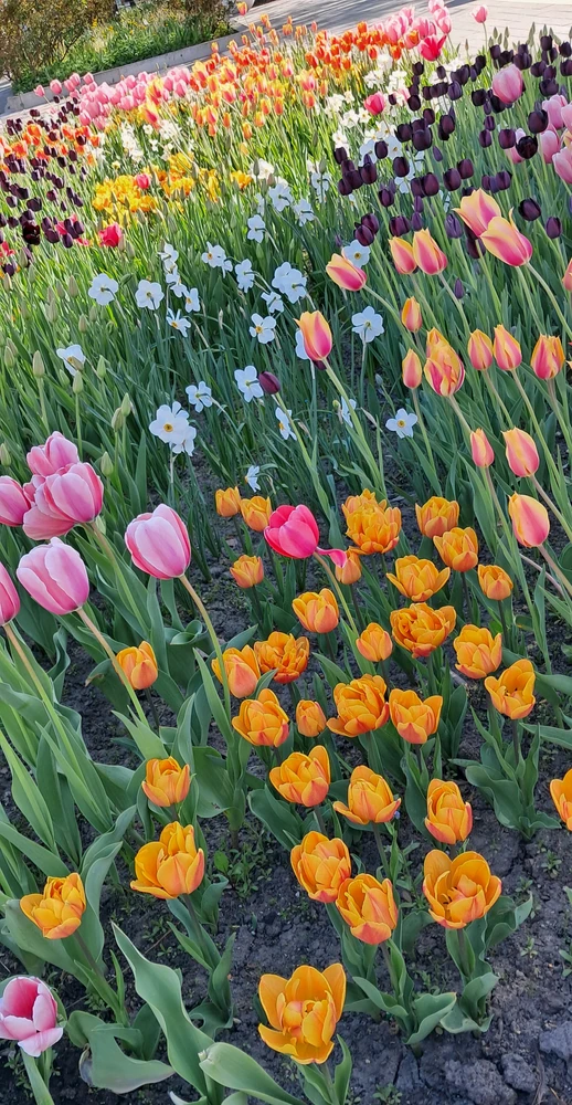 GIF uploaded by Stella