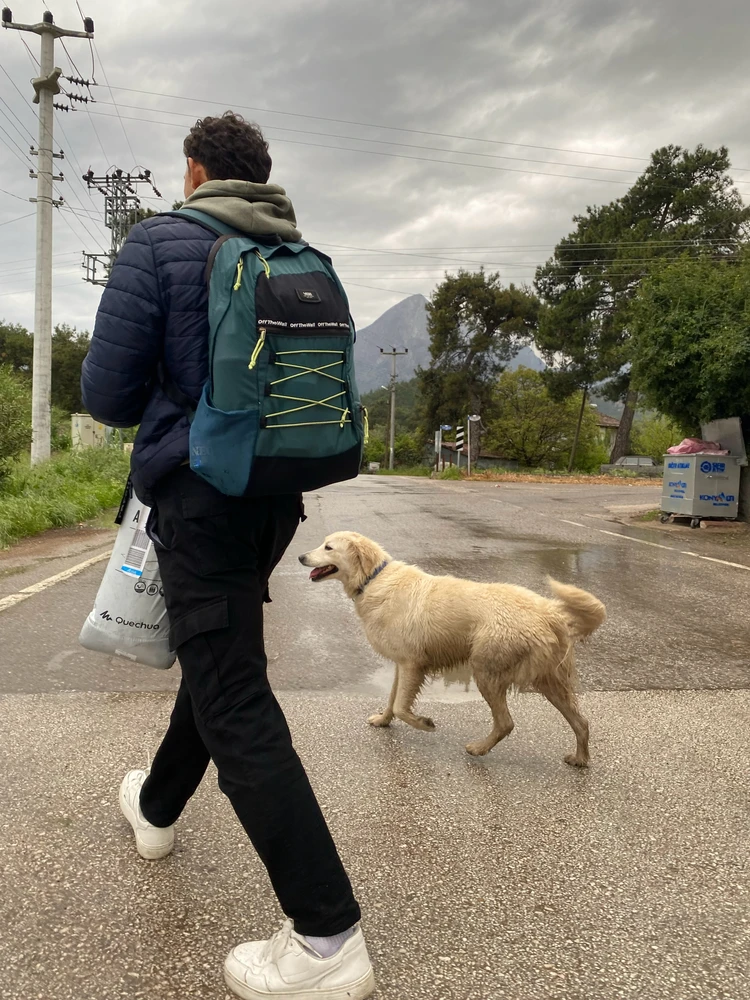 GIF uploaded by Haysam