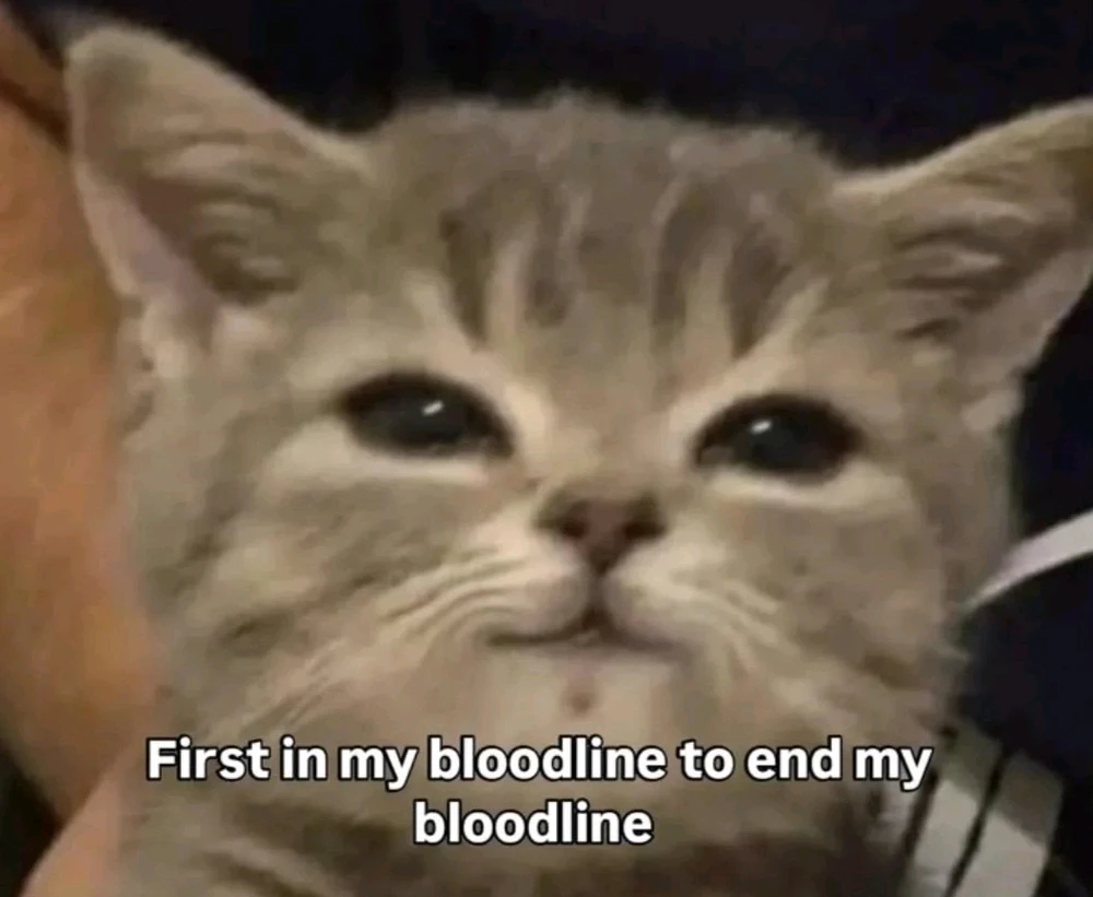GIF uploaded by Phoebe