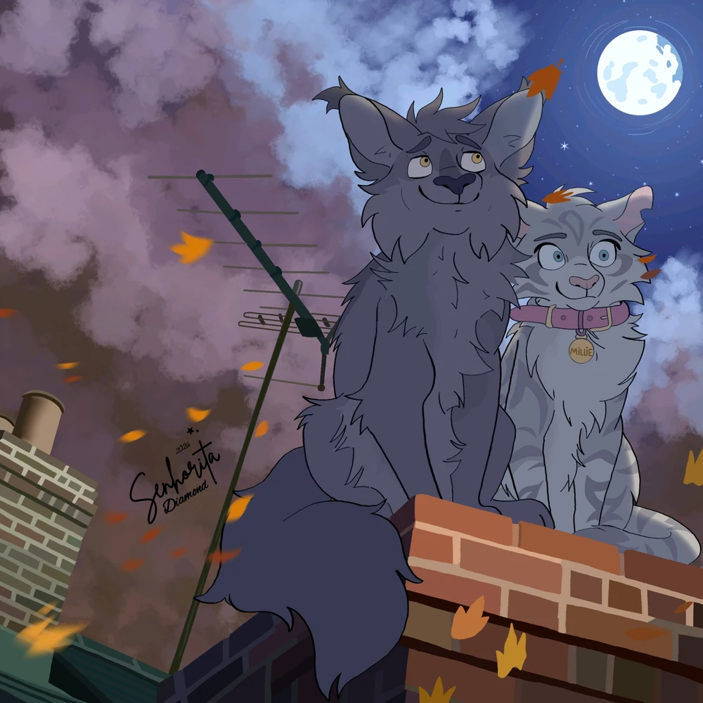 Image uploaded by Isabelle