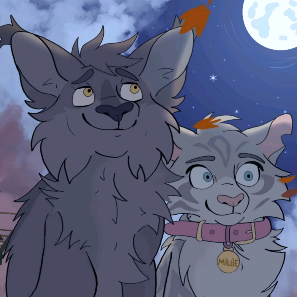 Image uploaded by Isabelle