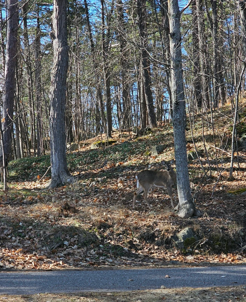 GIF uploaded by Catherine