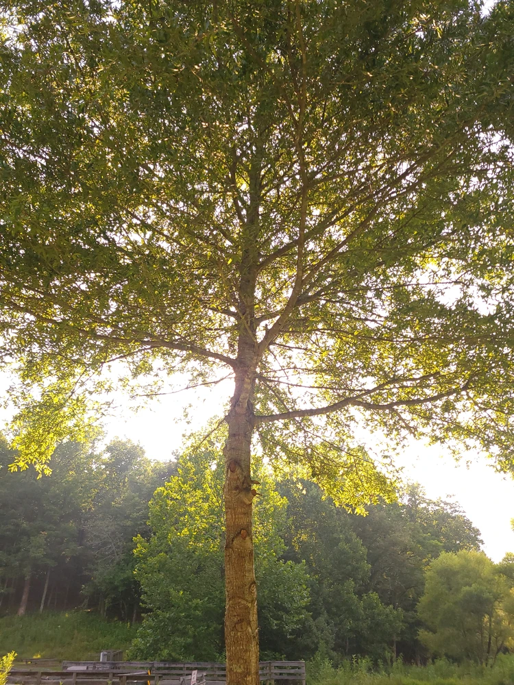 Image uploaded by Alex