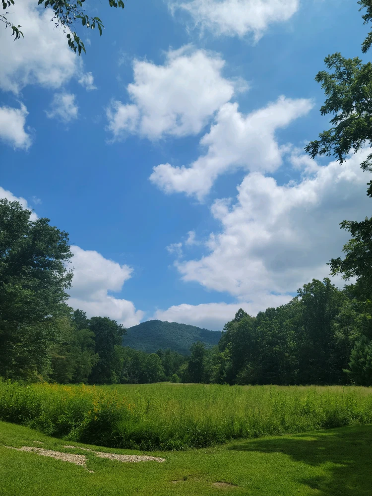 Image uploaded by Alex