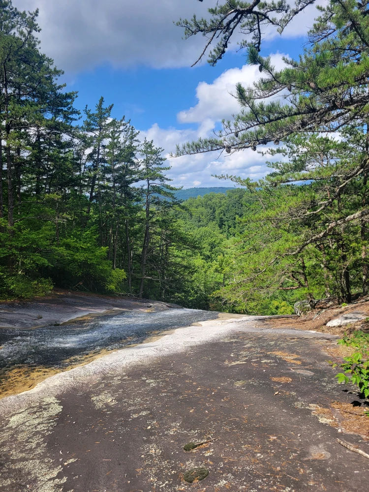 Image uploaded by Alex