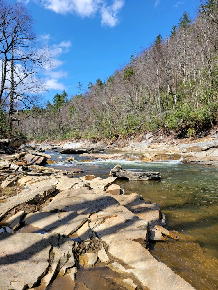 Image uploaded by Alex