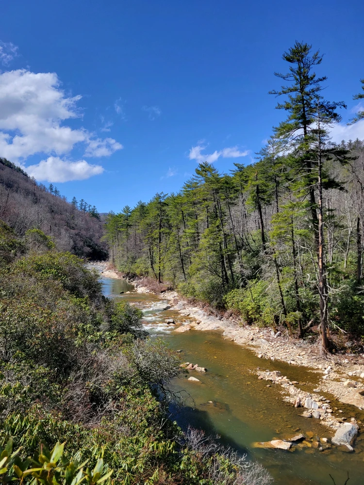 Image uploaded by Alex