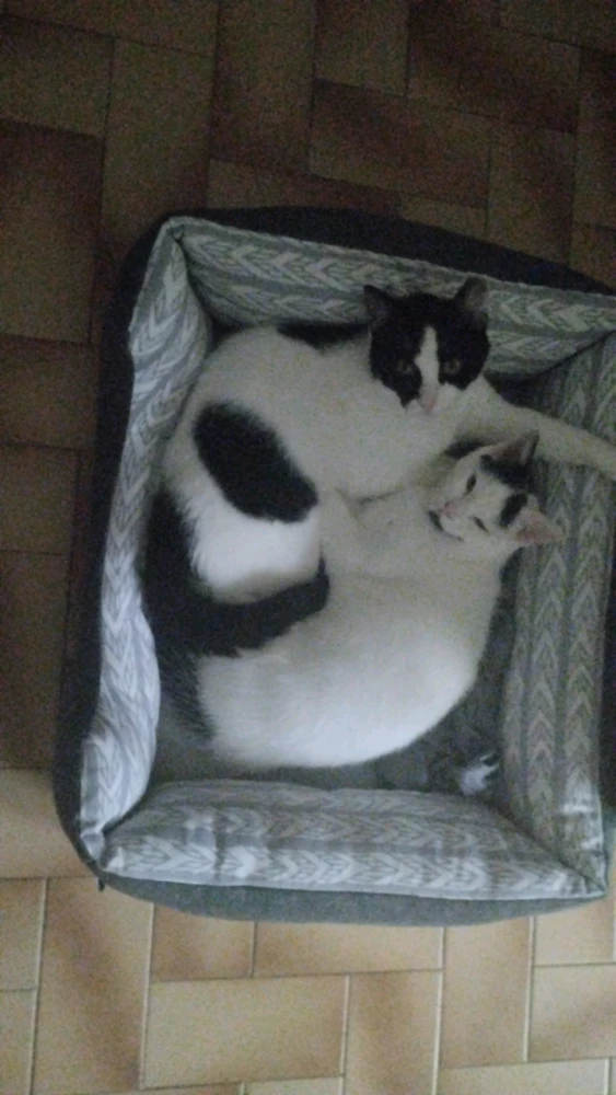 Imagem enviada por Martim