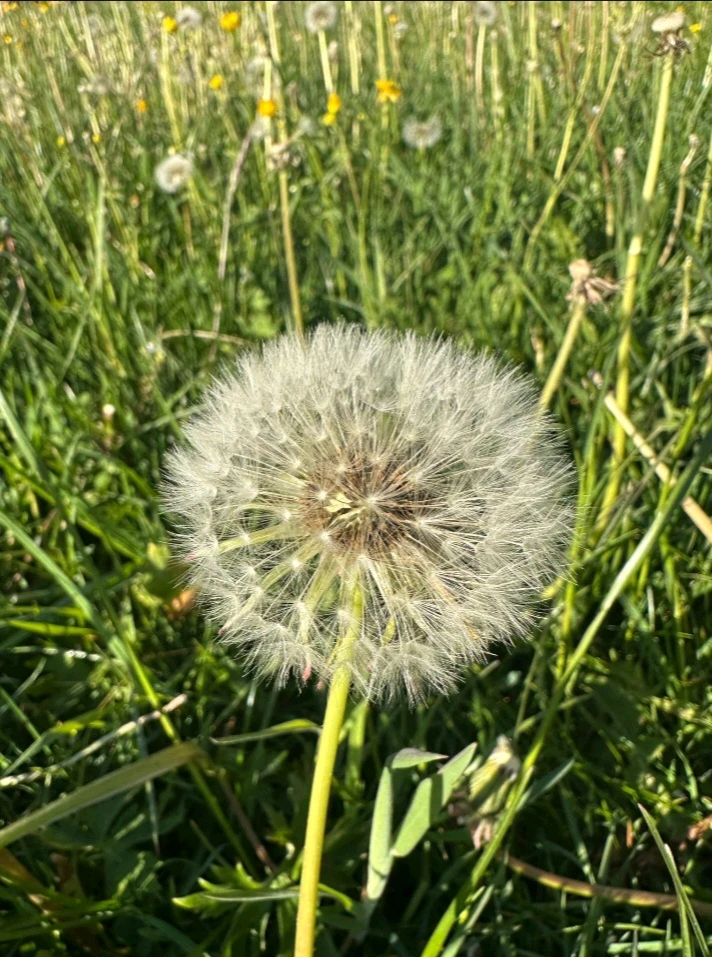 GIF uploaded by Vany
