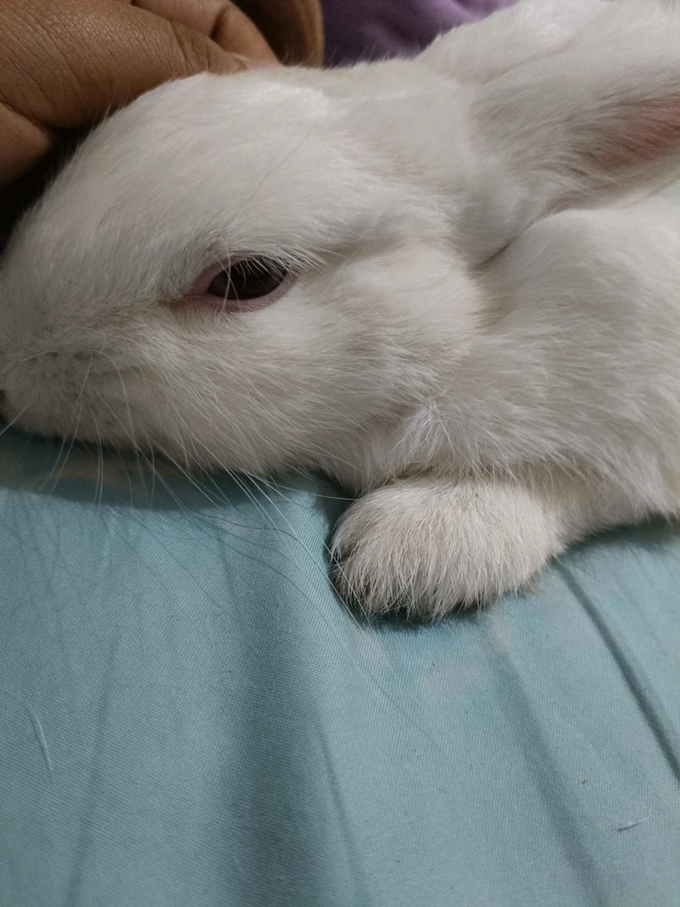 GIF uploaded by Vanessa