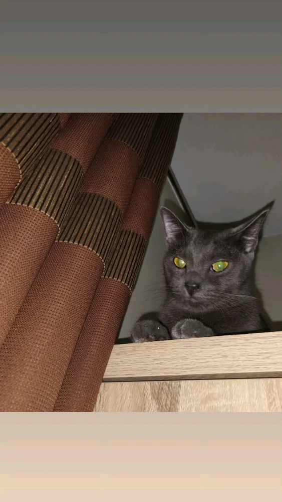 GIF uploaded by Elle