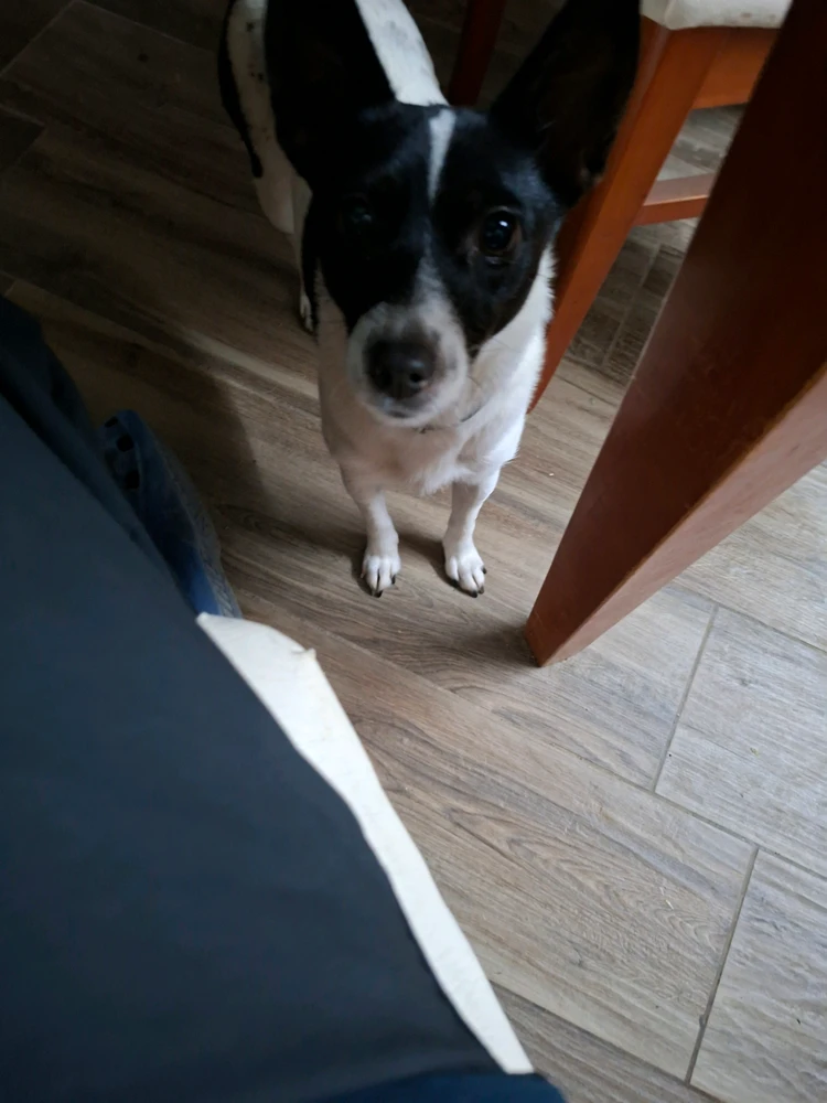 GIF uploaded by Mattia