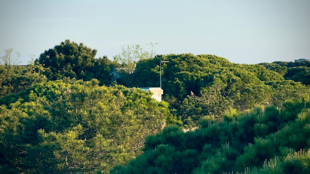 GIF uploaded by Matjaz