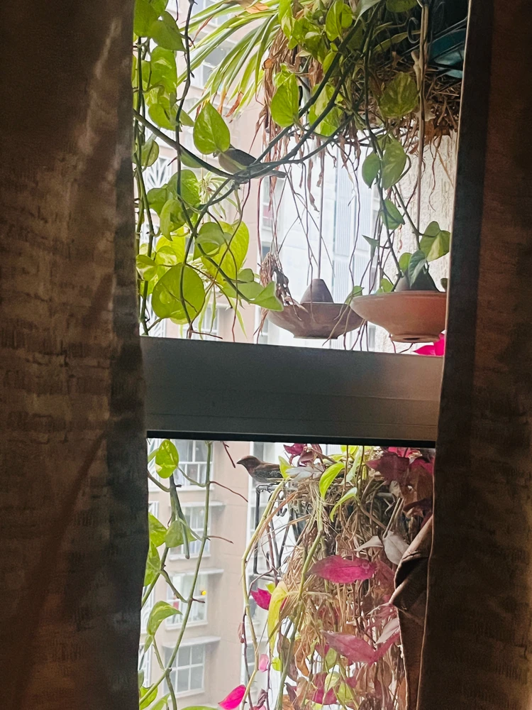 GIF uploaded by Gaurav