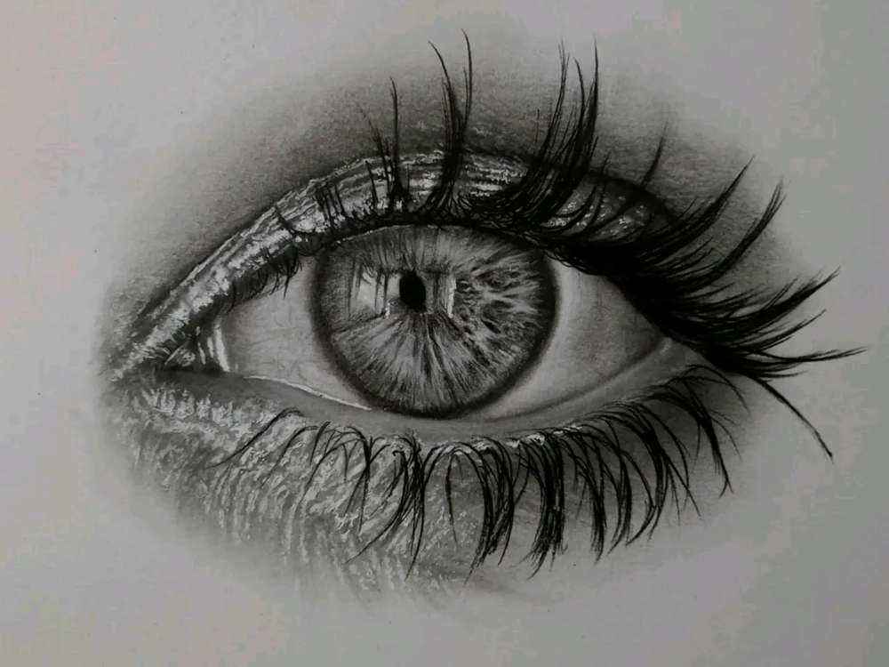 Gambar diunggah oleh Hans