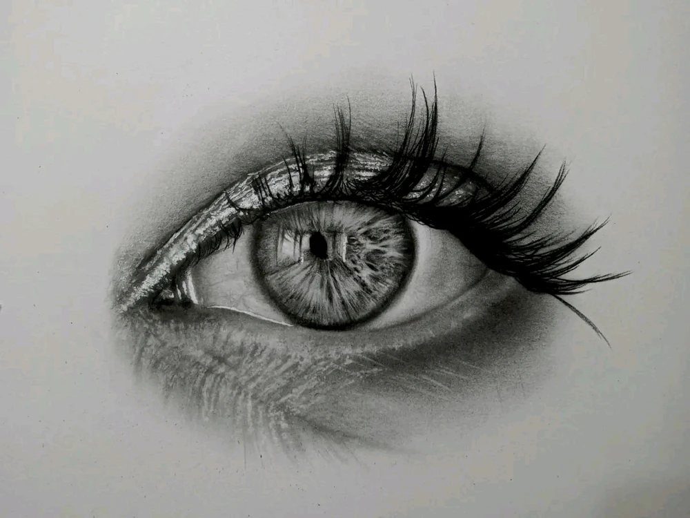 Gambar diunggah oleh Hans