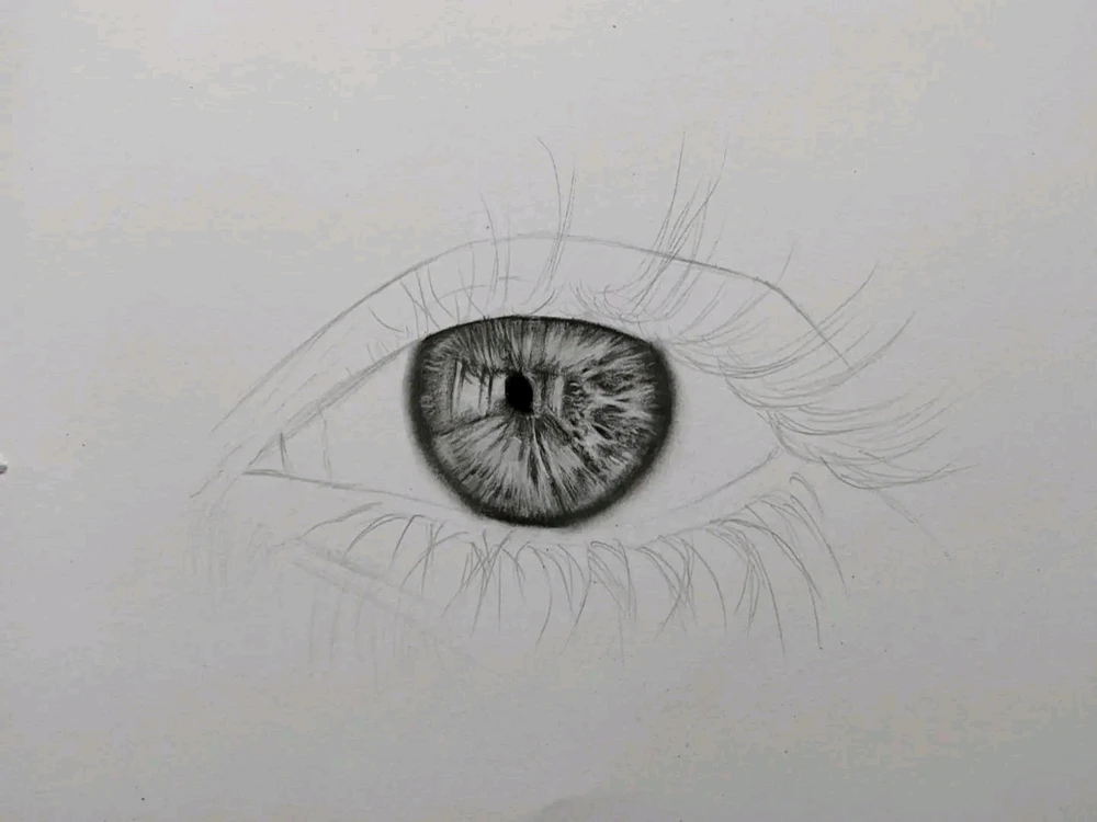 Gambar diunggah oleh Hans