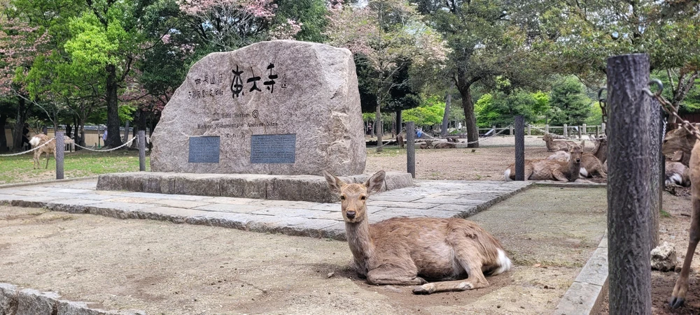 Image uploaded by Jose