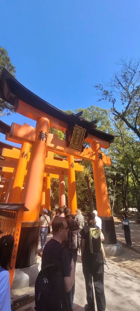 Image uploaded by Jose