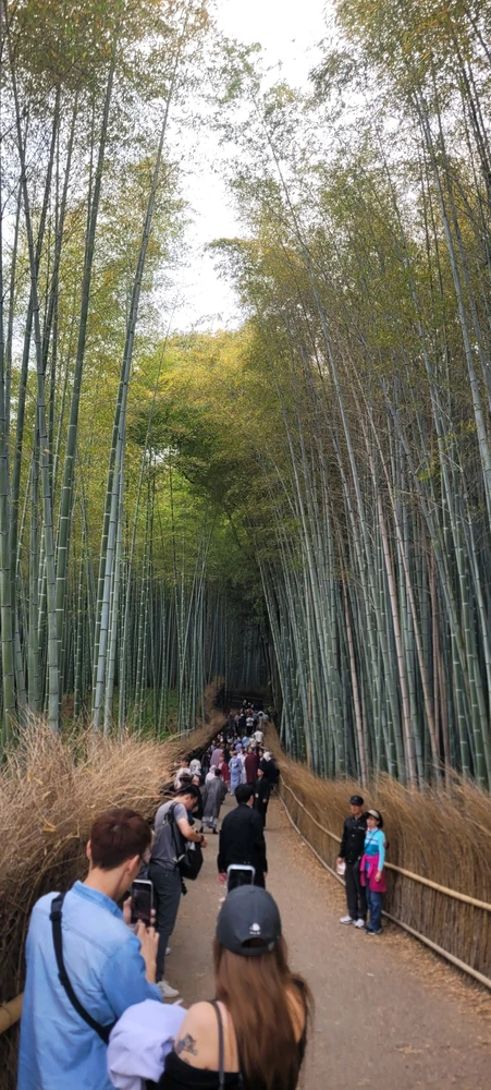 Image uploaded by Jose