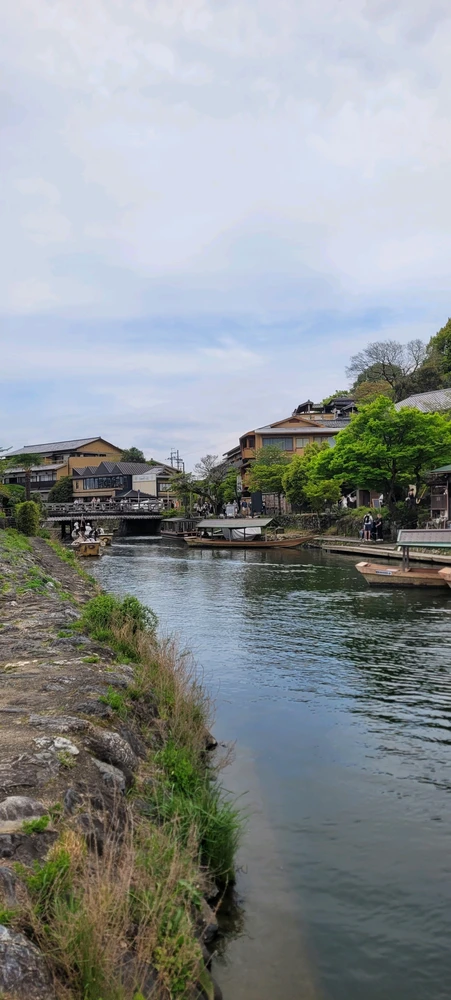 Image uploaded by Jose