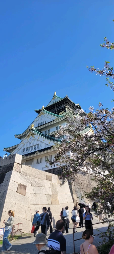 Image uploaded by Jose