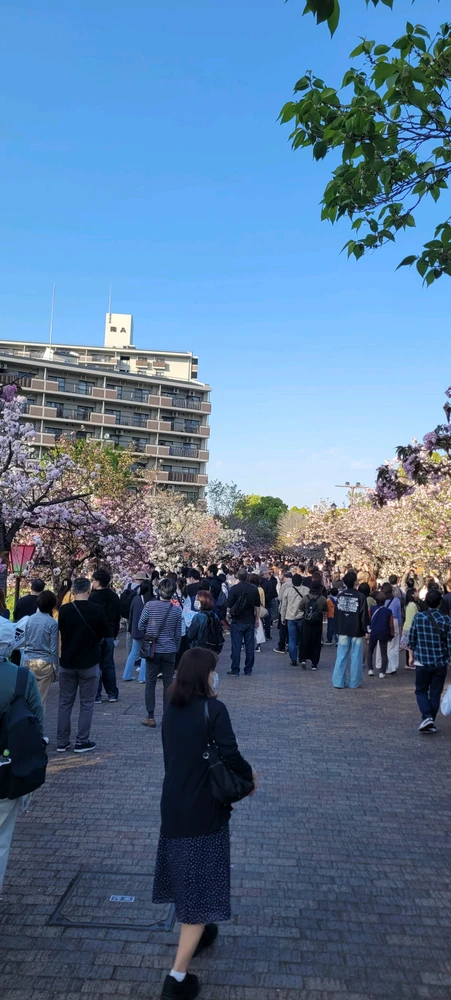 Image uploaded by Jose