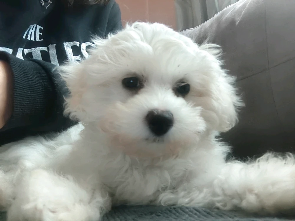 GIF subido por Noemi
